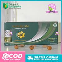 Gambar Propolis SM Brazil Asli 100% Original Herbal Benjolan Kelenjar - Lipoma - Limfoma - Polip dari Ragheeda Herbal undefined 5 Tokopedia