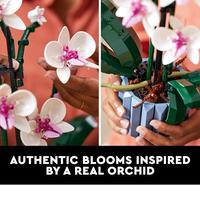 Gambar Lego 10311 Orchird Botanical Lego 18 tahun dari yellowcarrot21 undefined 3 Tokopedia