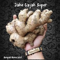 Gambar jahe gajah 1 kg super / Jahe Putih Lokal dari Rempah homecalist undefined 3 Tokopedia