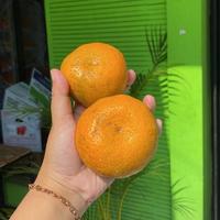 Gambar Jeruk Medan Raja Buah Bandung dari Raja Buah Bandung undefined 1 Tokopedia