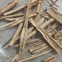 Gambar Jual Bumbu Dapur / Pulosari / 25 Gr dari Kedai Bumbu Dapur undefined 1 Tokopedia