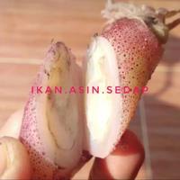 Gambar Cumi Asin Telor Super 500Gram 2-5Cm dari Ikan Asin SEDAP undefined 1 Tokopedia