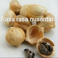 Gambar Kapulaga putih utuh 250gr ( white cardamon whole ) kapulaga lokal dari Rempah Herbs Ingredients undefined 2 Tokopedia