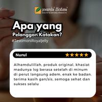 Gambar Madu Royal Jelly 1 kg - 1 KG dari Serambi Botani_NEW undefined 5 Tokopedia