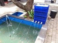 Gambar BOX FILTER KOLAM IKAN - TRICKEL FILTER KOLAM KOI 4 SUSUN MURAH dari Pratama Foam ID undefined 2 Tokopedia