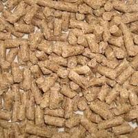Gambar makanan udang hias aquascape / pelet udang / pakan udang dari Fauna aqua undefined 1 Tokopedia