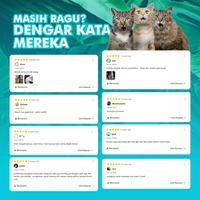 Gambar Pet Parfum Anjing Kucing Wangi Tahan Lama Aroma Cherry Blossom - 60ml dari Pawin Official undefined 4 Tokopedia