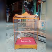 Gambar Kandang kenari,cucokijo no 2 jeruji fiber original soloan dari Evanosangkar undefined 2 Tokopedia