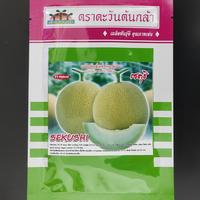 Gambar Benih melon sekushi 10 gr dari Saung Hydro undefined 1 Tokopedia