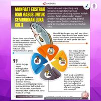 Gambar Obat Infeksi Luka Dalam Lambung Habis Operasi Albucare Ikan Gabus dari Iki Herbal undefined 5 Tokopedia