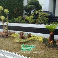 Gambar Jasa Taman Gading Serpong - Paket Taman Minimalis Permeter Murah dari NAVIKA TAMAN undefined 5 Tokopedia