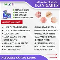 Gambar Obat Pengering Luka Sunat Khitan, Luka Sunat Agar Kering, Albucare dari Iki Herbal undefined 1 Tokopedia