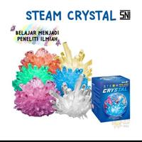 Gambar mainan edukasi STEM magnet science DIY experiments STEAM crystal - crystal small dari Victory Sagala undefined 4 Tokopedia
