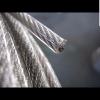 Gambar 1.5MM 1,5MM KAWAT SELING SLING BAJA LAPIS PLASTIK PVC WIRE ROPE GALV dari All About Industry Store undefined 1 Tokopedia