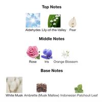 Gambar Parfum Lazy Sunday Morning EDT 100ml For Unisex dari ETC_NEW undefined 4 Tokopedia