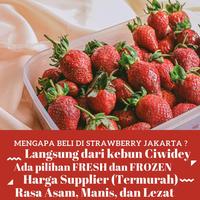 Gambar ! STROBERI STRAWBERRY HIGH QUALITY ASLI CIWIDEY KUALITAS TINGGI 1KG - dari &#39;MEKAR BUAH undefined 1 Tokopedia