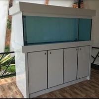 Gambar Custom Kak Laura dari Klinik Aquascape undefined 1 Tokopedia
