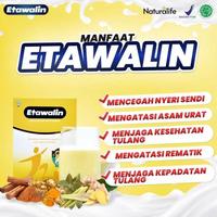 Gambar Paket 3 Box Susu Etawalin Asli Susu Kambing Etawa Untuk Atasi Nyeri dari PT CARAMELS undefined 3 Tokopedia