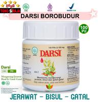 Gambar DARSI 100 PIL / OBAT JERAWAT / BISUL / GATAL - GATAL KULIT JAMU DARSIH dari TOKO SIRAJA TANGERANG undefined 1 Tokopedia