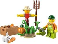 Gambar LEGO 30590 Farm Garden & Scarecrow Polybag dari Jabrick Rumah LEGO undefined 2 Tokopedia