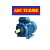 Gambar Electric Motor YUEMA Y3 6P 40 hp 30kw 3Phase B3 dari ASC TEKNIK undefined 1 Tokopedia