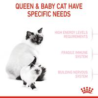 Gambar Royal Canin Mother & Baby Cat Makanan Anak Kucing Kering 4kg dari Petshop Indonesia Gading Serpong undefined 3 Tokopedia