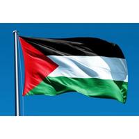 Gambar BENDERA KAIN PALESTINA BESAR 80 X 120 - 1.5 x 2 Meter dari BAKTIA STORE undefined 2 Tokopedia