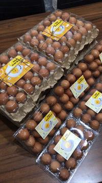 Gambar TELUR AYAM NEGERI 1 KG BUNGKUS MIKA MURAH !! dari ALBERT INC undefined 3 Tokopedia
