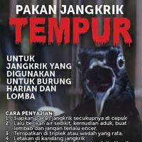 Gambar Pakan Jangkrik Tempur Untuk Burung dari Lapak Burung Indonesia undefined 2 Tokopedia