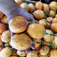 Gambar Markisa Madu Bali | Markisa Bali Manis | 1 kg dari dhianafresh undefined 1 Tokopedia