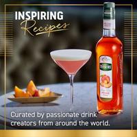 Gambar Teisseire sirup rasa Cranberry 700ml ( FRANCE'S NO.1 SYRUP ) dari MMP Teisseire undefined 3 Tokopedia