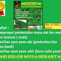 Gambar jamu sekar taji sari kelor muda dari Sekar Taji store undefined 2 Tokopedia
