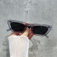 Gambar PL-H006 Kacamata Hitam Wanita Korean Fashion Kacamata Gaya Wanita - PL-H006 LEOPARD dari Titanoboa undefined 3 Tokopedia
