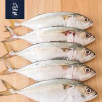 Gambar Ikan Kembung Banjar ● Fresh Frozen - DIBERSIHKAN dari Meat The Sea Supplier undefined 1 Tokopedia