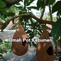 Gambar TERMURAH...!! glodok sarang burung lovebird parkit dekorasi outdoor dari variancell undefined 3 Tokopedia