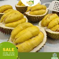 Gambar Durian Fresh Musang King - Utuh Bulat 1.5 - 2.5 KG - Papadurenjkt - 1.5 - 1.6 Kg dari PapaDurenJkt undefined 1 Tokopedia