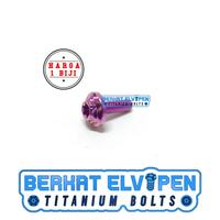Gambar Baut Titanium Star Head M5x20 Drat 8 Panjang 20mm 2cm D13 Gr5 - Tosca dari Berkat_Elvipen undefined 5 Tokopedia