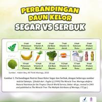 Gambar Vitamin Penambah Berat Badan Anak Dari Daun Kelor - Keloreena Kapsul - 100 Kapsul dari Iki Herbal undefined 4 Tokopedia