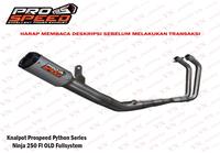Gambar Knalpot Prospeed Python Series Ninja 250 Fi CBR 250RR Fullsystem - Ninja 250Fi Old dari VN Motoshop undefined 1 Tokopedia