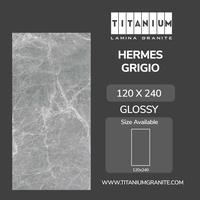 Gambar Titanium Granite - HERMES GRIGIO - GLOSSY - 120x240 - FREE DELIVERY dari Titanium Lamina Granite undefined 1 Tokopedia