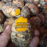 Gambar Empu atau Biang Kunyit Segar dan Tua 1kg dari Jamu Kidul undefined 3 Tokopedia