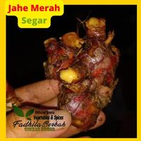 Gambar Jahe Merah Super Segar 1 kg Asli Lokal medan dari Dapursegar_NEW undefined 4 Tokopedia
