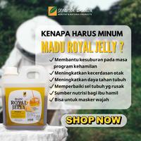 Gambar Madu Royal Jelly 1 kg - 1 KG dari Serambi Botani_NEW undefined 3 Tokopedia