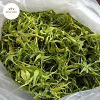 Gambar Kembang Telon dari Amiinah Hanania_NEW undefined 2 Tokopedia