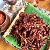 Gambar Walang Goreng Belalang Goreng Kuliner Gunungkidul Khas Wonosari dari WonosariShop undefined 1 Tokopedia
