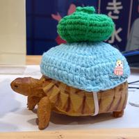 Gambar kostum kura kura model bulbasaur dari tamtam_crafts undefined 1 Tokopedia