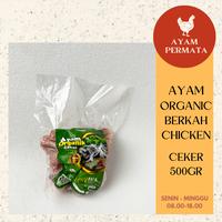 Gambar Ceker Ayam Organik 500gr Bersih - Berkah Chicken Feet Kaldu MPASI dari Ayam Fresh Permata undefined 3 Tokopedia