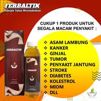Gambar Ferbaltik 500ml - Herbal Ampuh Mujarab dari MELVYBI ID undefined 1 Tokopedia