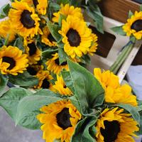 Gambar Bunga Matahari Fresh - Import, 10 tangkai dari Tevia Florist undefined 3 Tokopedia