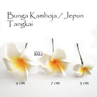 Gambar Bunga Kamboja/Jepun/frangipangi Tangkai - 5cm dari PasarBali undefined 1 Tokopedia